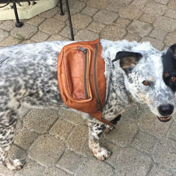 Vintage Handbags - Vintage Leather Fanny Pack